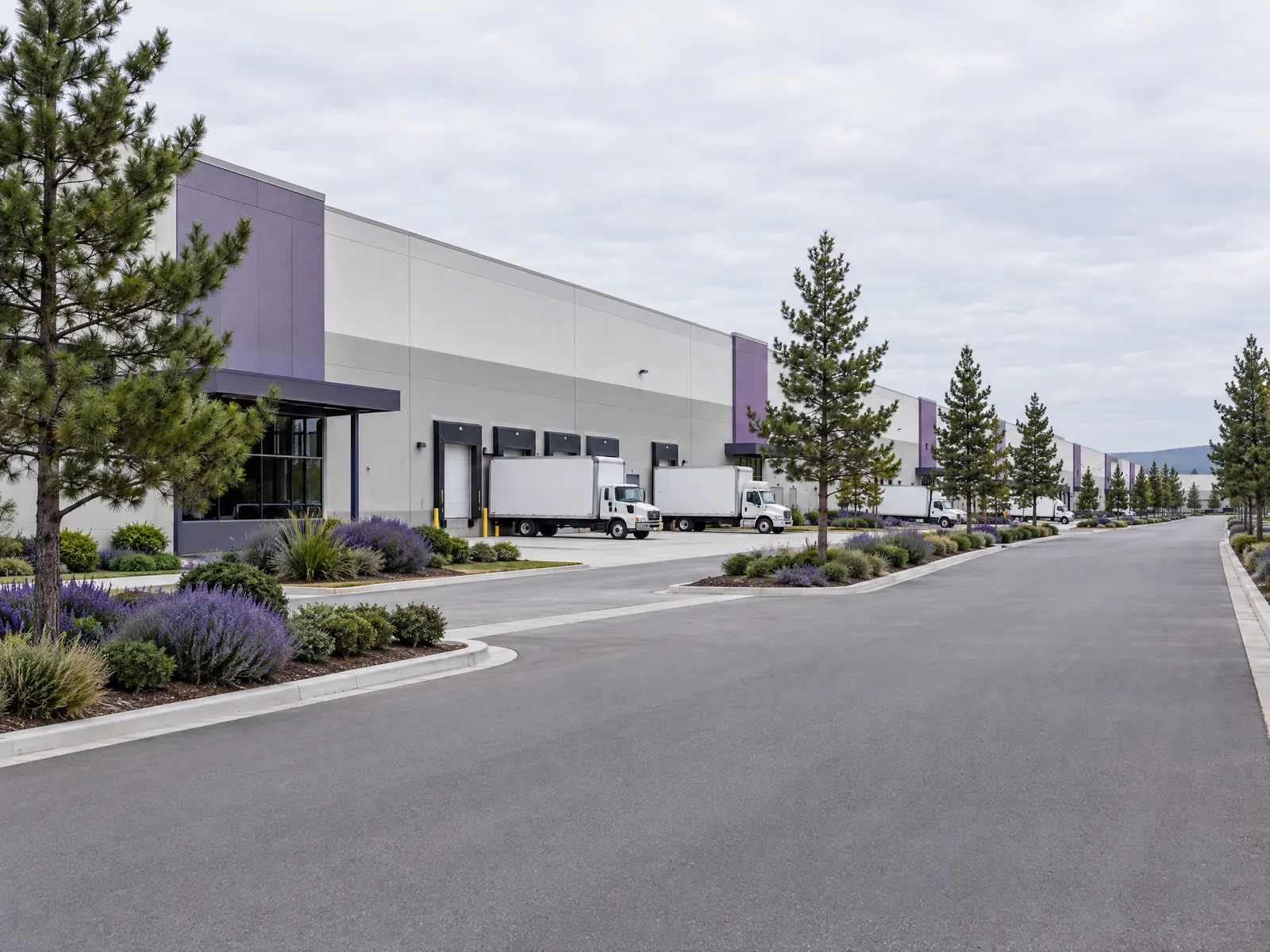 Long white warehouses with loading docks and box trucks beside pine trees on a gray day